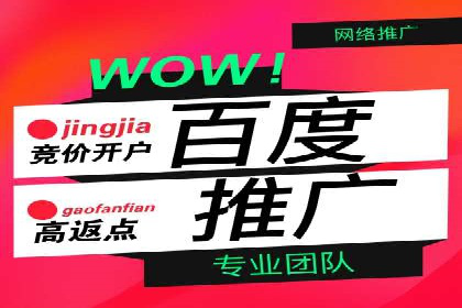 竞价推广实战：成功案例背后的技巧揭秘